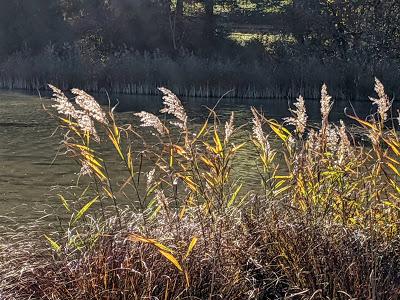 Indian Summer in Mittenwald - Automne doré à Mittenwald