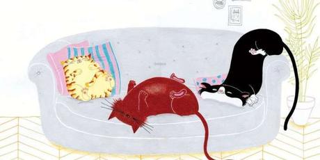 Des matous partout de Bernadette Pourquié et Julie Eugène