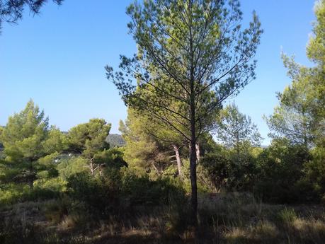 Des symboles qui perdurent de nos jours