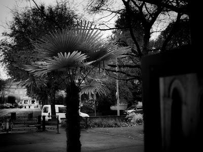 Festival du Film Italien 42e Villerupt