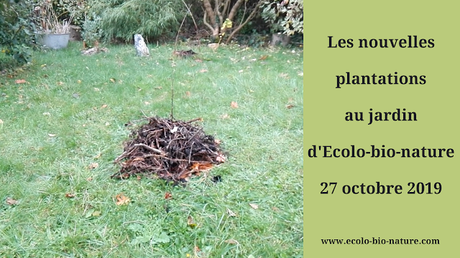Les nouvelles plantations au jardin d'Ecolo-bio-nature au 27 octobre 2019 (vidéo)