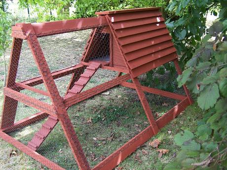 Les nouvelles plantations au jardin d'Ecolo-bio-nature au 27 octobre 2019 (vidéo)