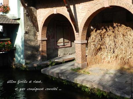 La France -  L'Alsace - 1