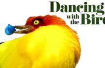 Dracula : un teaser pour la série des créateurs de Sherlock