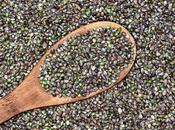 Protéine chanvre musculation efficacité consommation