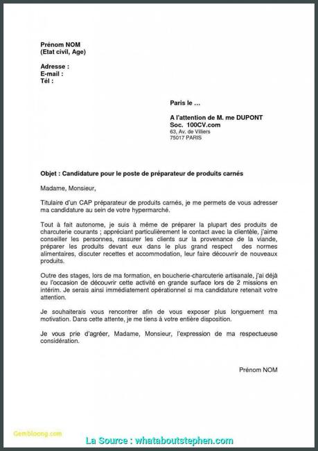 Qualifié Lettre De Motivation Conseiller En Insertion ...