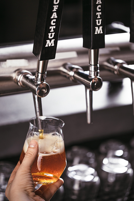 Craft beer BRAUFACTUM: plus!