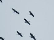 sait secret leurs lointains exils