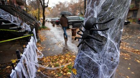 Ils ont Délogé L'Halloween