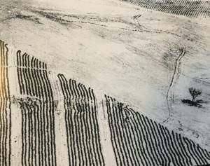 Galerie Berthet-Aittouarès  exposition Mario Giacomelli « Paesaggio »