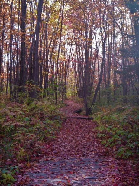 Pays Etranger - Le chemin de Blainville - CA