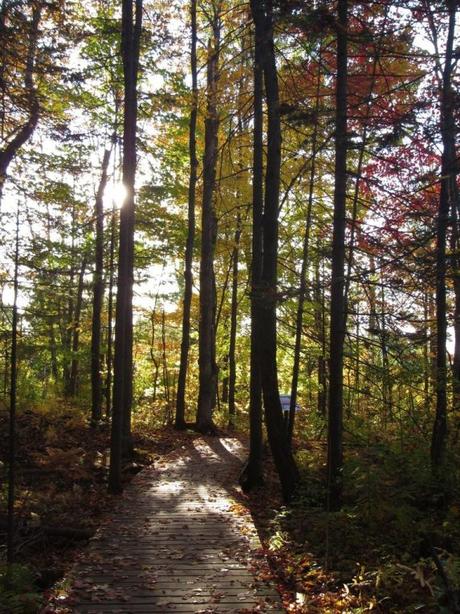 Pays Etranger - Le chemin de Blainville - CA