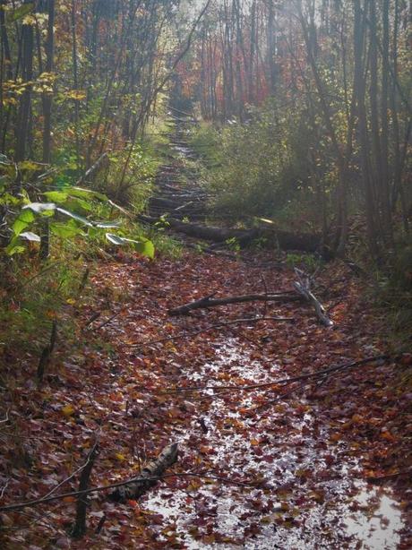 Pays Etranger - Le chemin de Blainville - CA