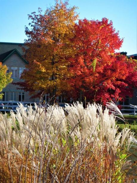 Pays Etranger - Le chemin de Blainville - CA