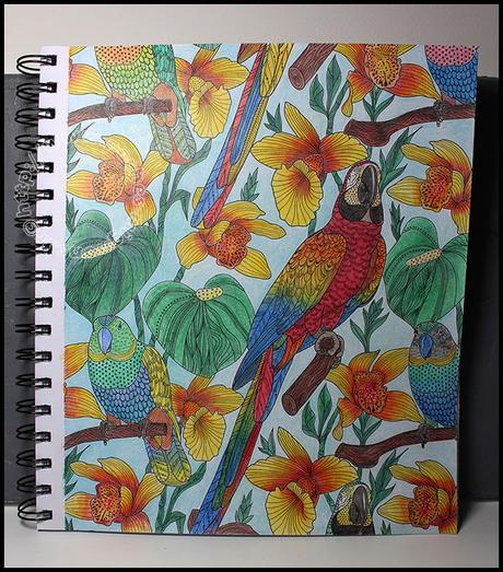 Coloriage #1 et #2 Coloriage #1 et #2