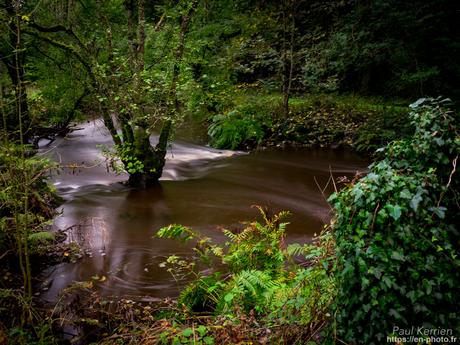 Prom'nons nous dans les bois 🎵 #Bretagne #Finistère #MadeInBzh