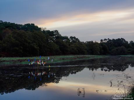 Prom'nons nous dans les bois 🎵 #Bretagne #Finistère #MadeInBzh