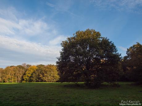 Prom'nons nous dans les bois 🎵 #Bretagne #Finistère #MadeInBzh