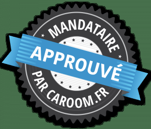 Lyon’s Automobiles : qu’y a-t-il à savoir sur ce mandataire lyonnais ?