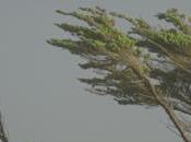 Quand Amélie s’en mêle