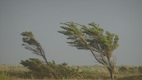 Quand Amélie s’en mêle