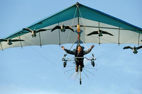 Christian Moullec avec ses oiseaux