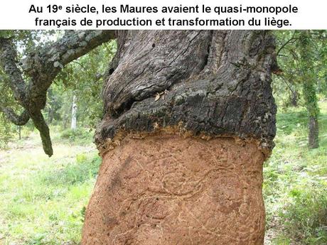 La France - Le Massif des Maures