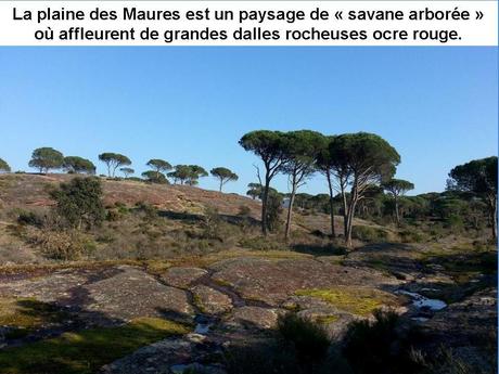 La France - Le Massif des Maures