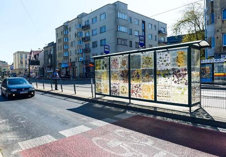 Elle transforme une station de tramway en musée floral