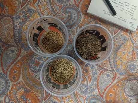 Info bière – nous sommes allés brasser notre bière en Californie

 – Mousse de bière