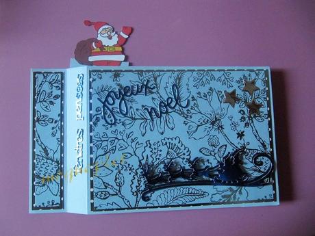 Mes ouvrages - Mes cartes - 13