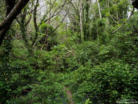 or et argent dans les ruines en #Bretagne #Finistère #MadeInBzh