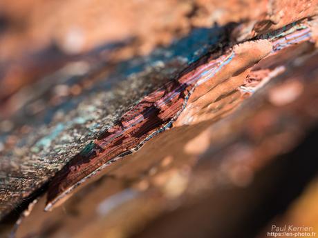 or et argent dans les ruines en #Bretagne #Finistère #MadeInBzh