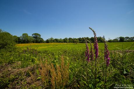 or et argent dans les ruines en #Bretagne #Finistère #MadeInBzh