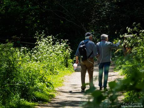 or et argent dans les ruines en #Bretagne #Finistère #MadeInBzh