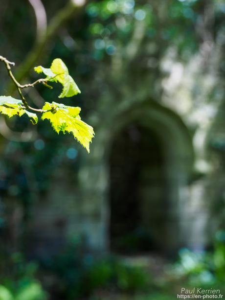 or et argent dans les ruines en #Bretagne #Finistère #MadeInBzh