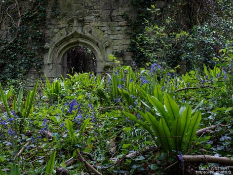 or et argent dans les ruines en #Bretagne #Finistère #MadeInBzh