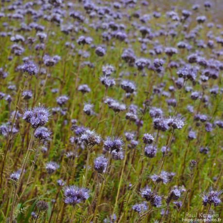 filé d'étoiles et de voitures #Finistère #Bretagne #MadeInBzh filé d'étoiles et de voitures #Finistère #Bretagne #MadeInBzh
