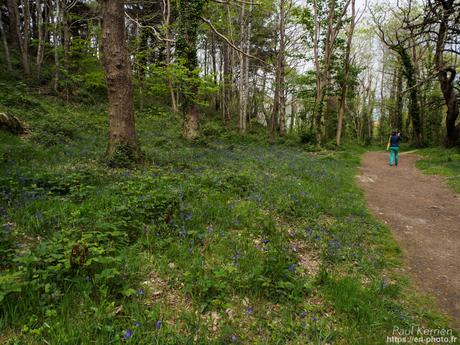 balade au moulin de Keriolet à BeuzecCapSizun #Finistère #Bretagne #MadeInBzh