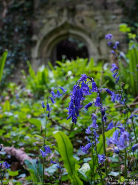balade au moulin de Keriolet à BeuzecCapSizun #Finistère #Bretagne #MadeInBzh