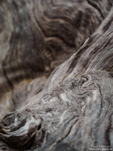 printemps à #Quimper #Finistère #Bretagne #MadeInBzh #proxi