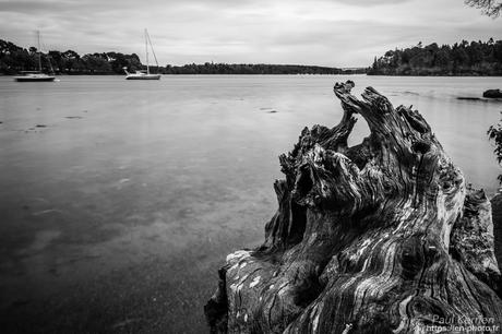 printemps à #Quimper #Finistère #Bretagne #MadeInBzh #proxi