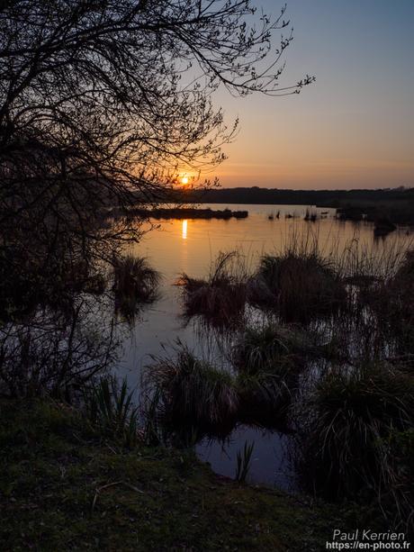 printemps à #Quimper #Finistère #Bretagne #MadeInBzh #proxi