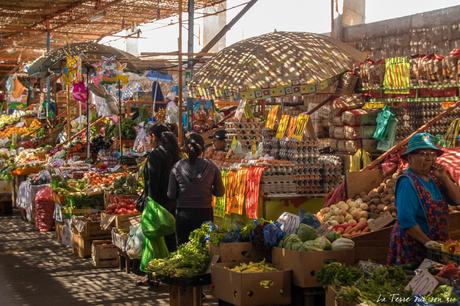 Arica : cette ville tout au nord du Chili que je pensais détester! Arica : cette ville tout au nord du Chili que je pensais détester!