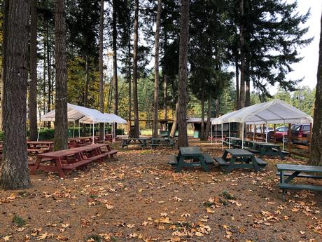 News bière – Bent Shovel Brewing établit une résidence temporaire pour son café en plein air
 – Bière blonde