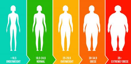 L’IMC indice de masse corporelle