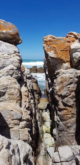 cape agulhas