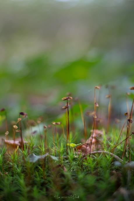 Le début de l’automne