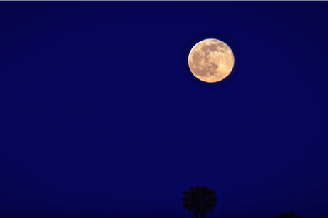 Comment nettoyer, purifier et recharger l’œil de Tigre Une pierre oeil de tigre qui se recharge à la lune