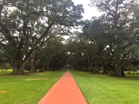Voyage aux US : une semaine en Louisiane Voyage aux US : une semaine en Louisiane